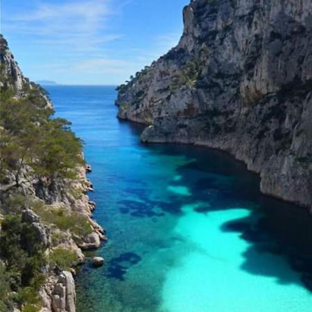 Lou Corail Cassis Luaran gambar